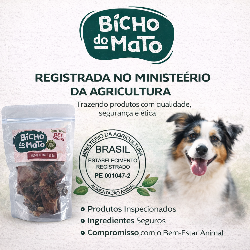 Chatgpt image 17 de mar. de 2026, 15 40 57