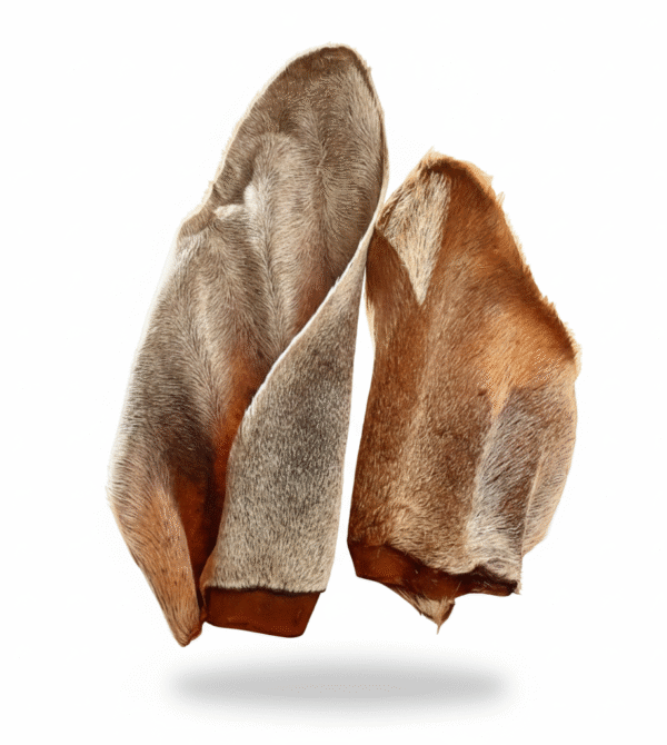 Gemini generated image k6bcoyk6bcoyk6bc