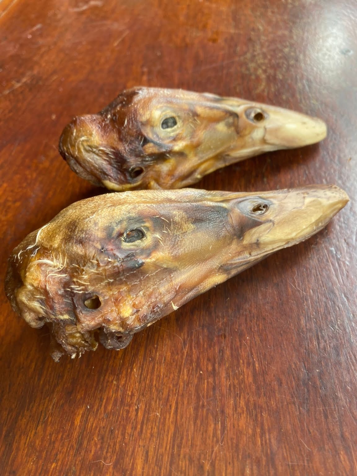 Cabeça de Pato - 2 Und