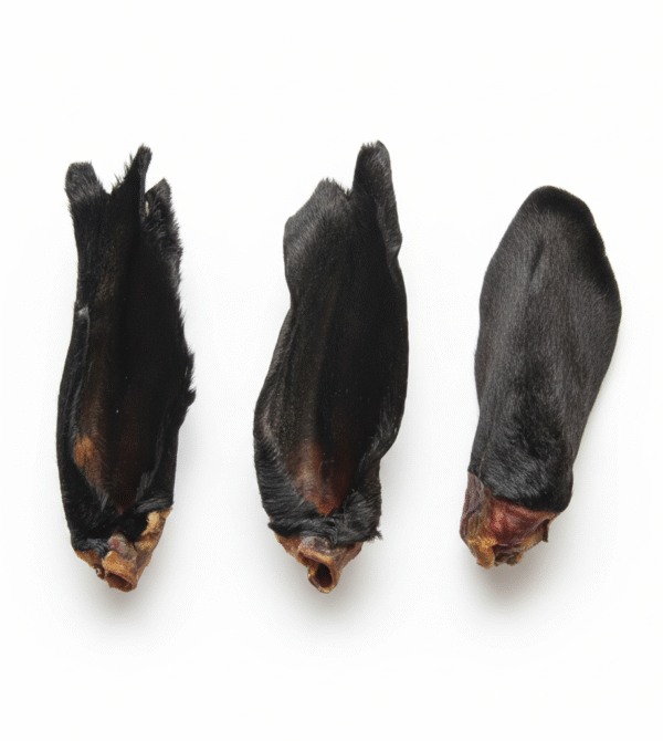 Gemini Generated Image 7dmfun7dmfun7dmf