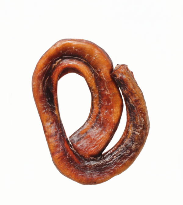 Gemini_Generated_Image_c5lbzic5lbzic5lb Vergalho de Boi Caracol -unidade