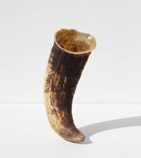 Gemini_Generated_Image_hvqnxthvqnxthvqn Gemini generated image hvqnxthvqnxthvqn