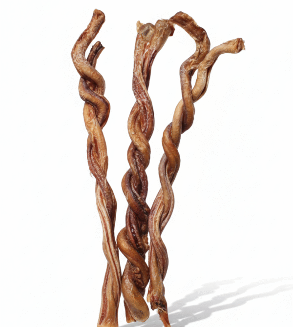 Gemini Generated Image jeg03jjeg03jjeg0