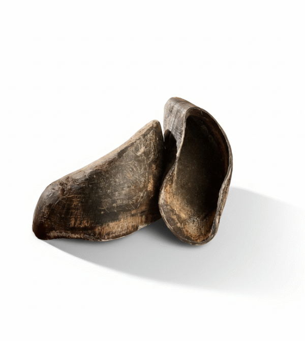 Gemini generated image oazhmxoazhmxoazh