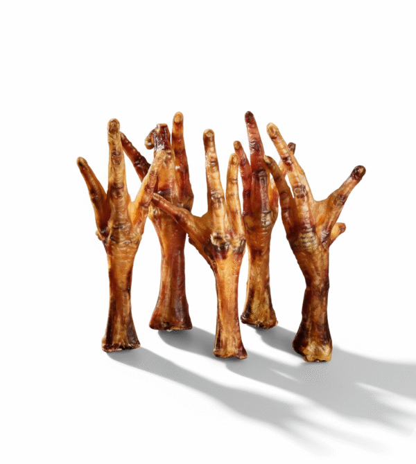 Gemini generated image sg6pdtsg6pdtsg6p