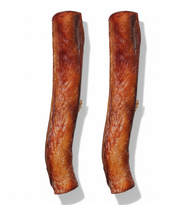 Gemini generated image 1uuq5e1uuq5e1uuq