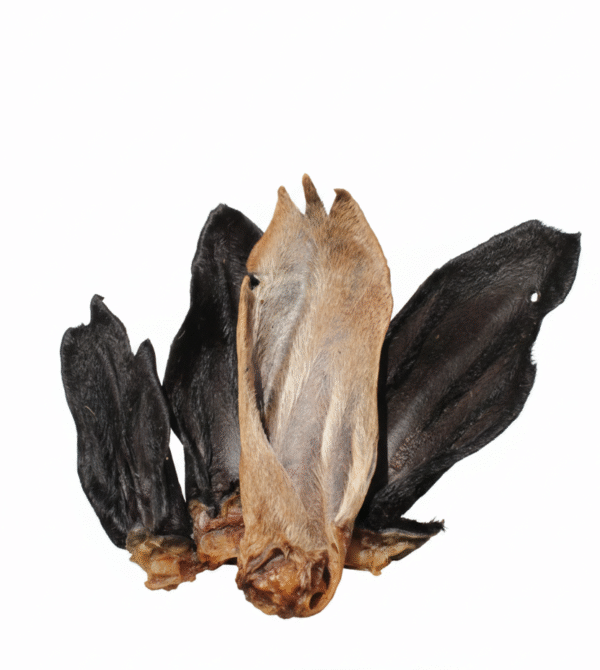 Gemini_Generated_Image_ic6rhqic6rhqic6r Orelha de Carneiro - 4 Und