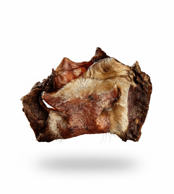 Gemini_Generated_Image_xahq4xahq4xahq4x Focinho de Boi 01 und - desidratado