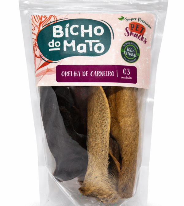 ChatGPT Image 18 de mar. de 2026, 20_50_59 ChatGPT Image 18 de mar. de 2026, 20 50