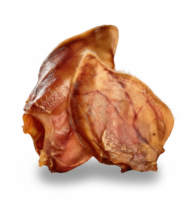 Gemini_Generated_Image_zf7w76zf7w76zf7w Orelha de Carneiro - 4 Und