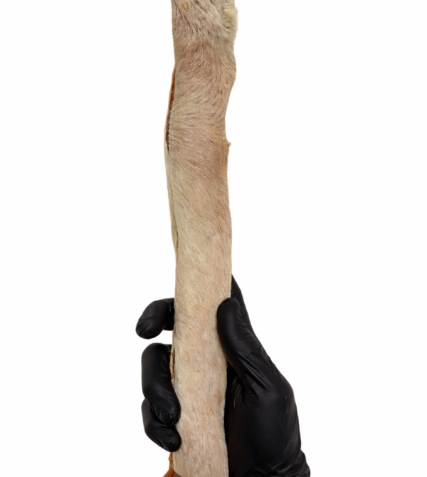 ChatGPT Image 18 de mar. de 2026, 20_16_49 ChatGPT Image 18 de mar. de 2026, 20 16