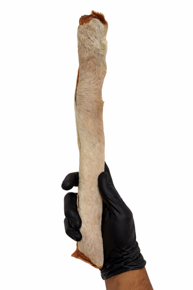 ChatGPT Image 18 de mar. de 2026, 20 16