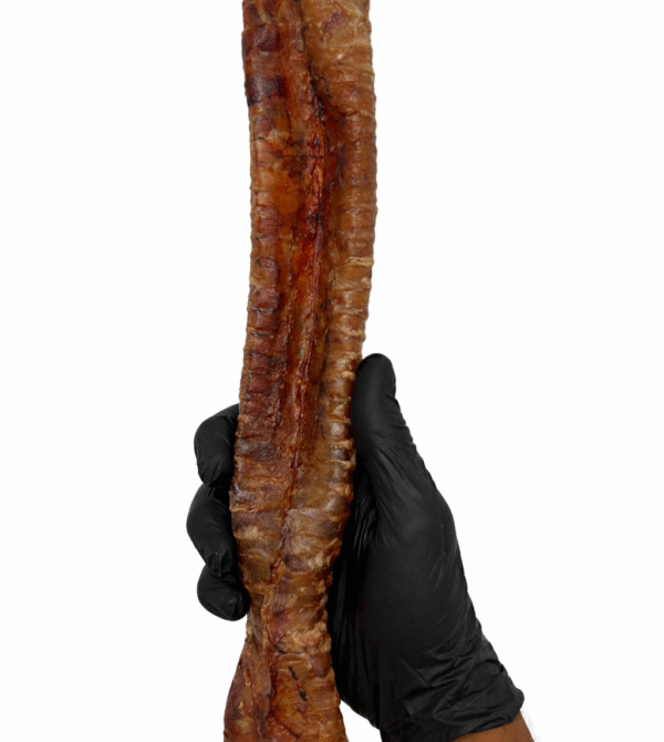 ChatGPT Image 18 de mar. de 2026, 20_20_10 ChatGPT Image 18 de mar. de 2026, 20 20