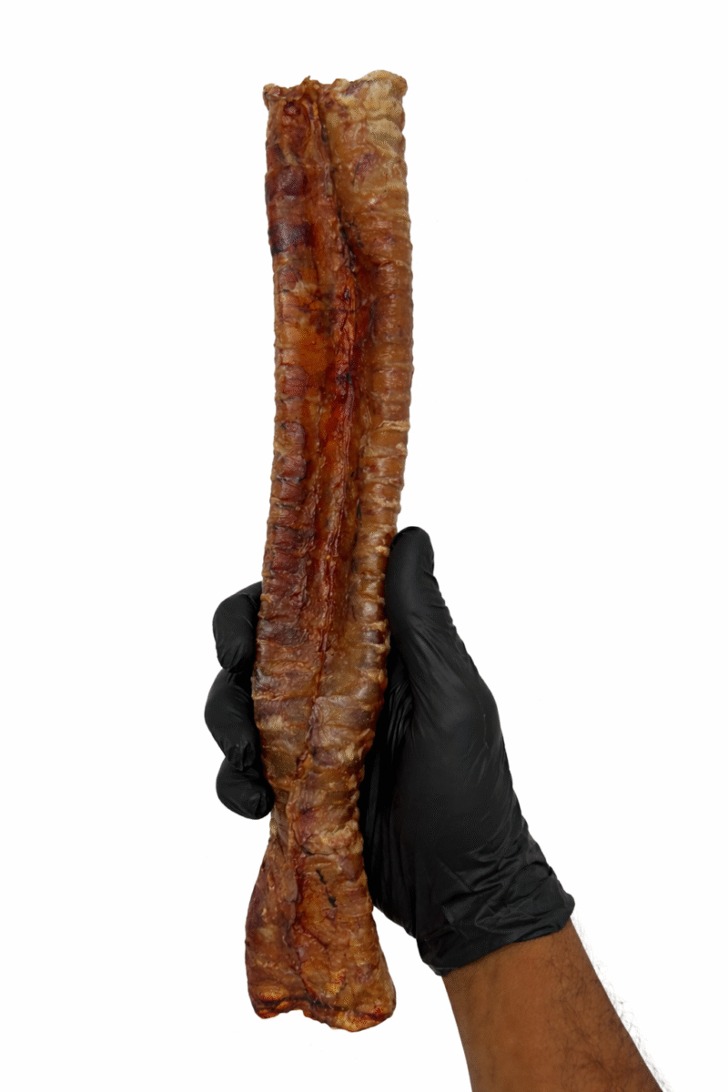 ChatGPT Image 18 de mar. de 2026, 20 20