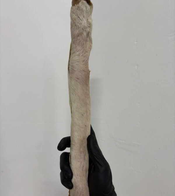 WhatsApp Image 2025-10-10 at 14.38.34 (1) Whatsapp image 2025 10 10 at 14.38.34 (1)