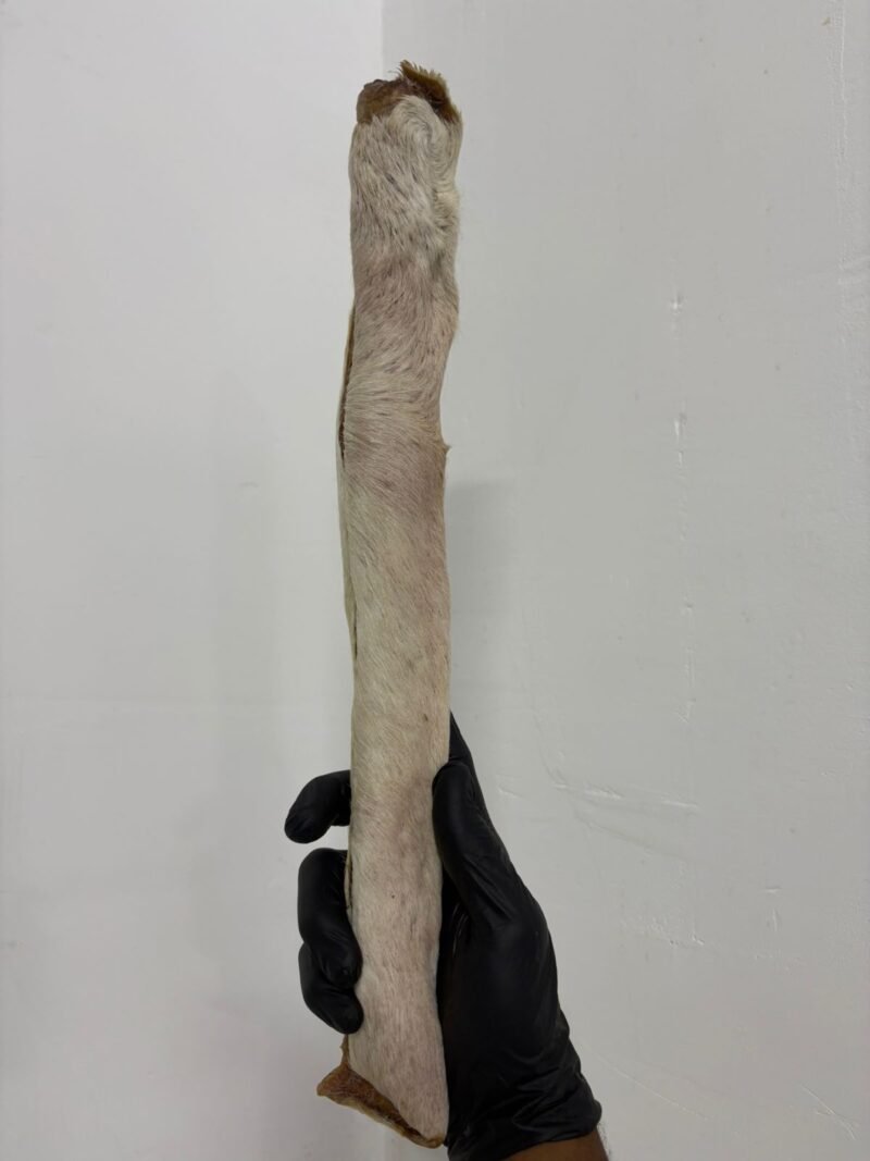 WhatsApp Image 2025-10-10 at 14.38.34 (1) Whatsapp image 2025 10 10 at 14.38.34 (1)