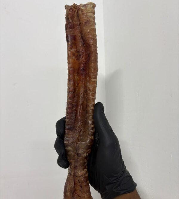 WhatsApp Image 2025-10-10 at 14.38.34 Whatsapp image 2025 10 10 at 14.38.34