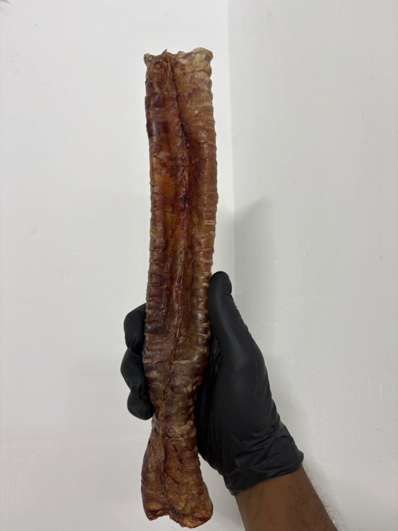 Whatsapp image 2025 10 10 at 14.38.34