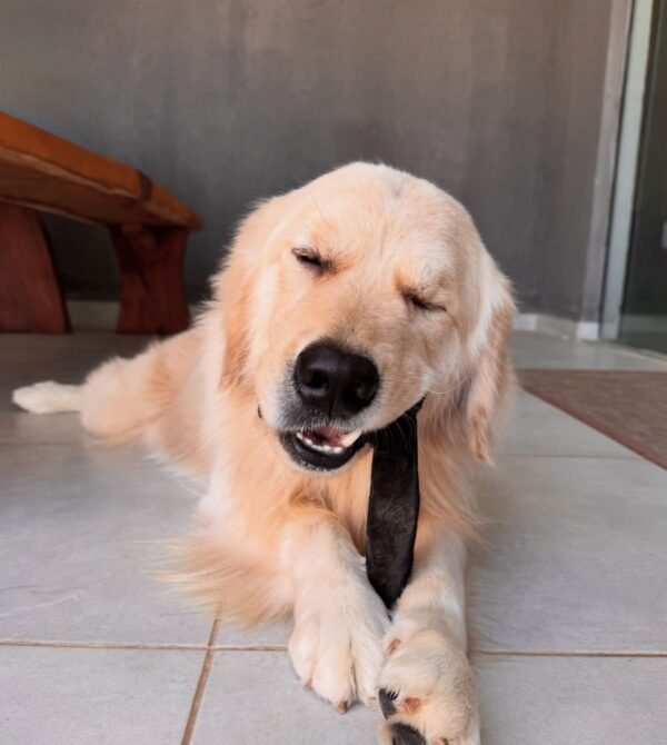 Whatsapp image 2026 03 18 at 19.52.41