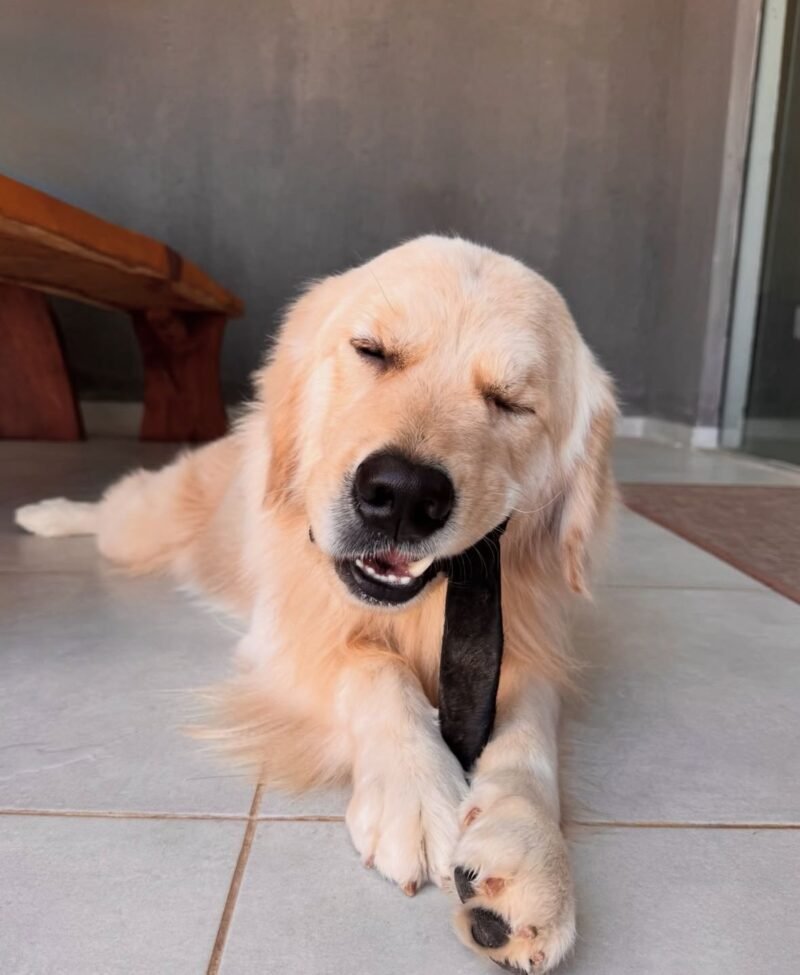 WhatsApp Image 2026-03-18 at 19.52.41 WhatsApp Image 2026 03 18 at 19.52.41