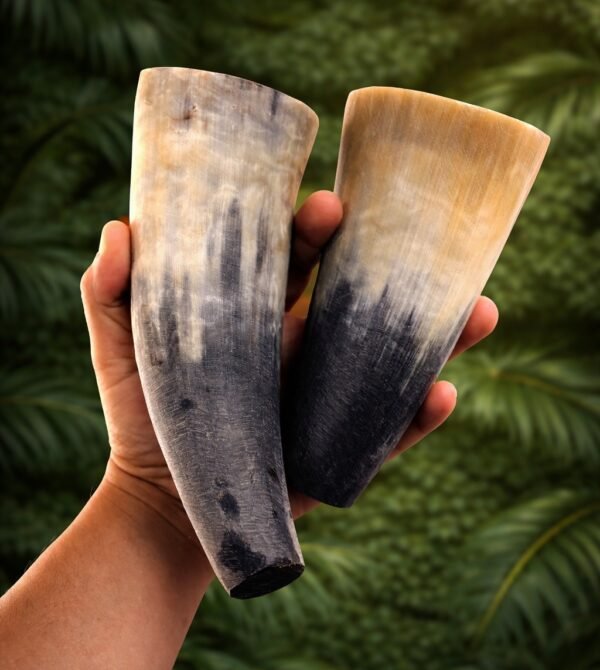 WhatsApp Image 2026 03 24 at 18.25.37