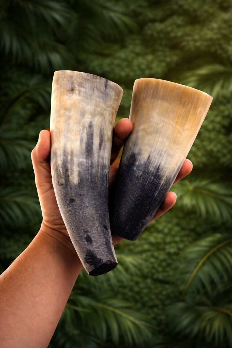 WhatsApp Image 2026 03 24 at 18.25.37