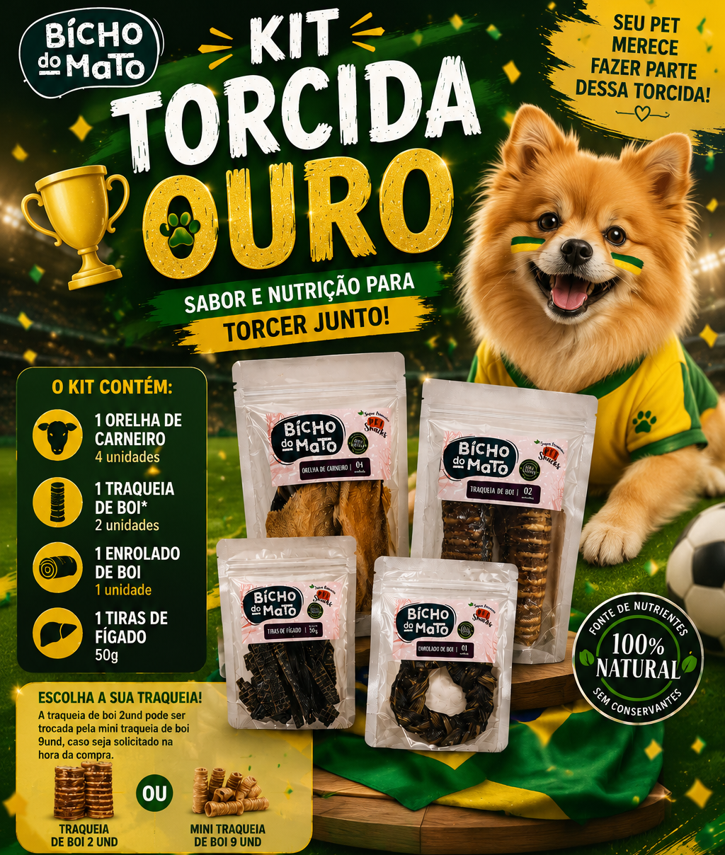 Kit Torcida Ouro